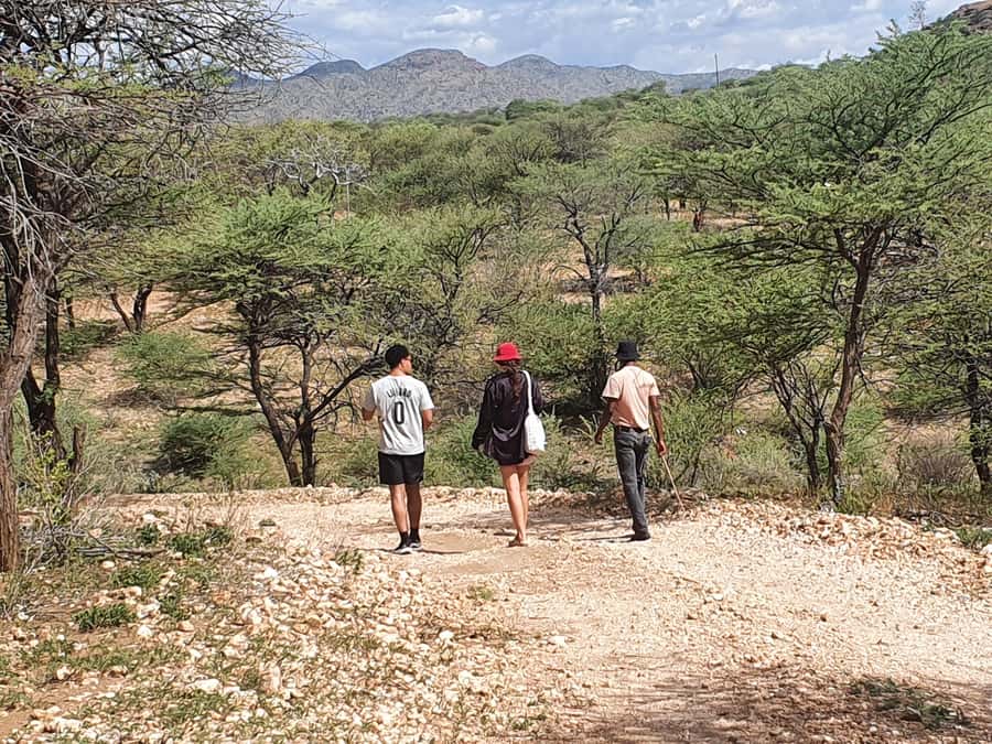 Windhoek: Bushman Walk with the San - Key points at a glance