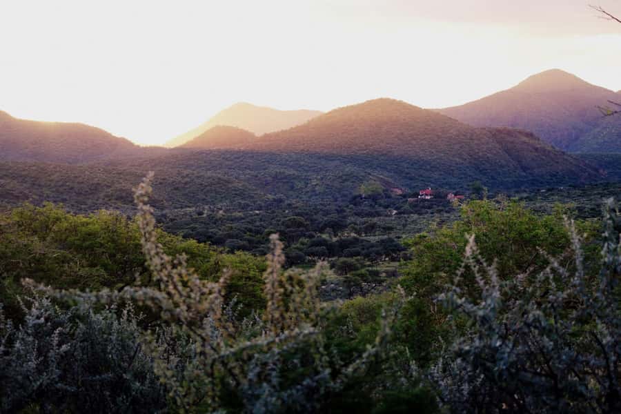Windhoek: Dustenbrook Scenic Game Drive - Key points at a glance