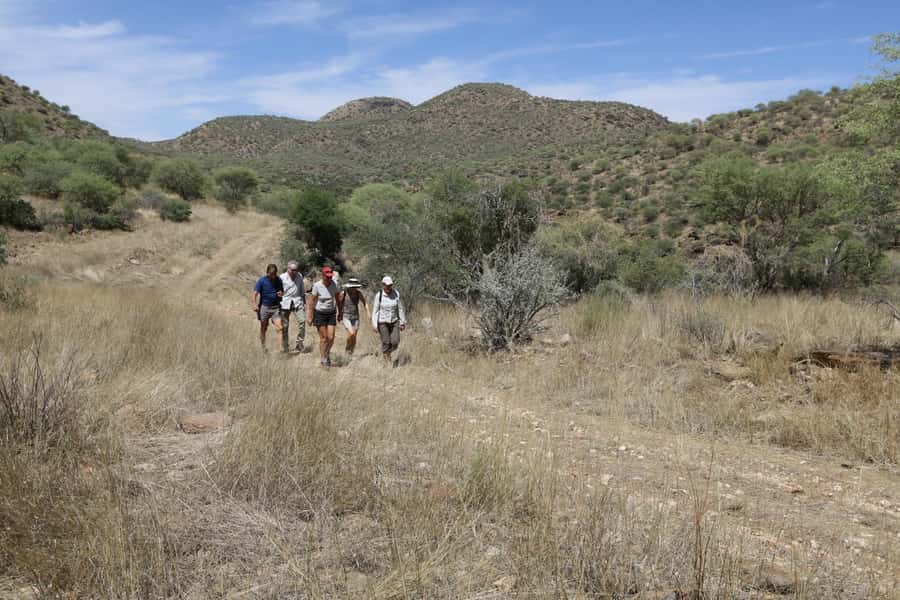 Windhoek: Dustenbrook Scenic Game Drive - The 1.5-hour game drive