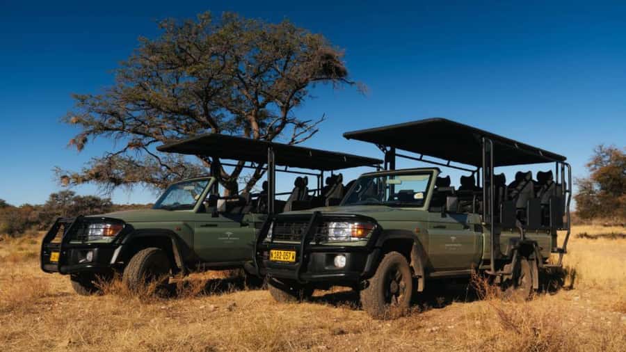 Zannier Game Drive with Hotel Pickup - Key points to know before booking