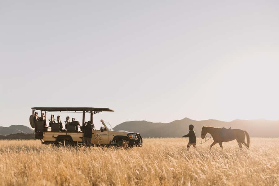 Zannier Game Drive with Hotel Pickup - Leaving Windhoek for N/a’an ku sê